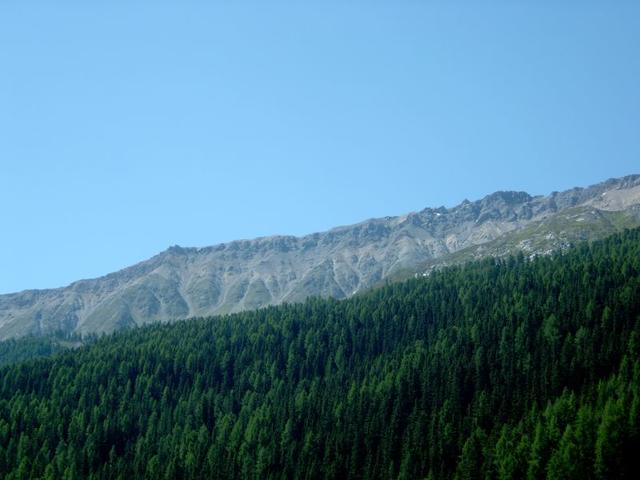 Wola_2005_082.jpg