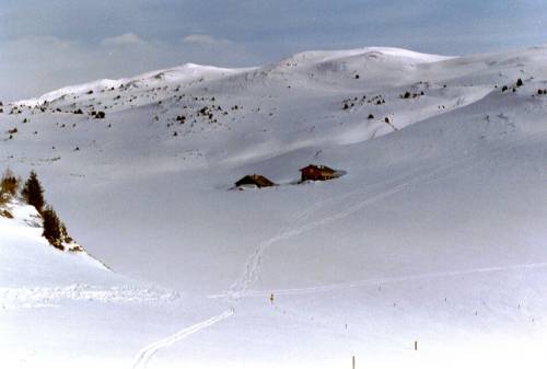 Schnee hat's genug :-)