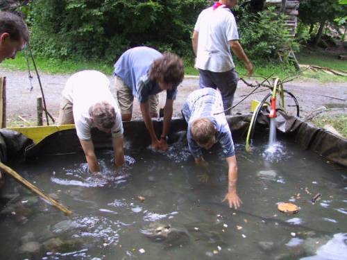 Fischfang im Becken.