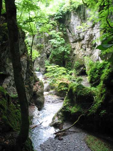 Die Schlucht auf dem Weg nach Riedern.