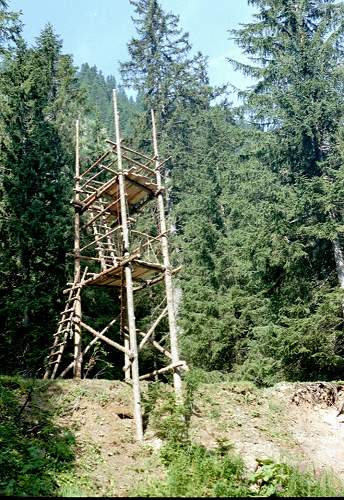 Der Turm in voller Pracht, edel nicht?