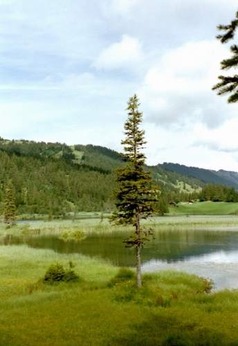 Blick vom Lauenensee zur H