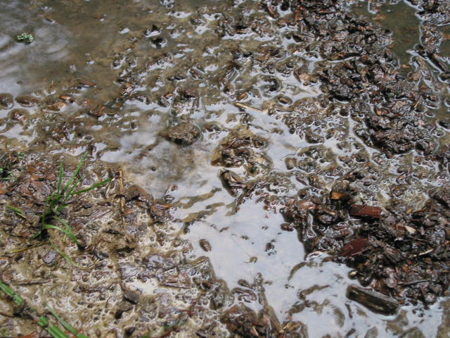 Höchste Zeit für Wassergräben und Sturmverspannungen.