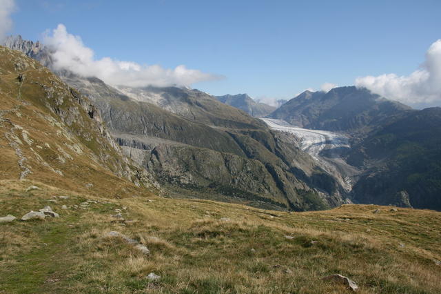 Fusshörner und Aletschgletscher.