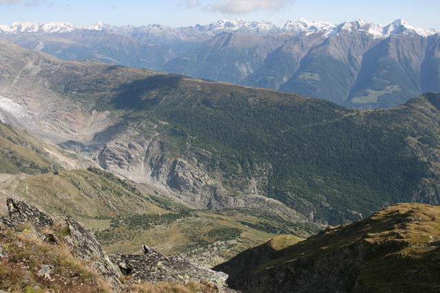 Unten in der Mitte die Hängebrücke über die Massa Schlucht. Rechts Aletschwald und Riederfurka.