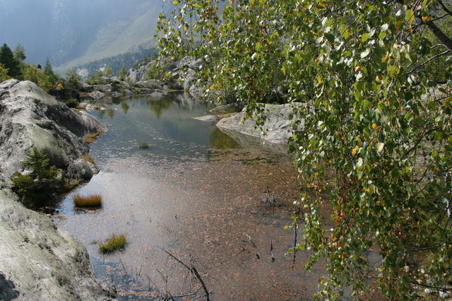 Der Grünsee.