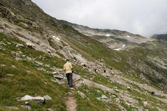 Stau auf dem Weg zum Gipfel.