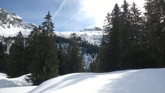 Elch_Skitour_2015_14.jpg